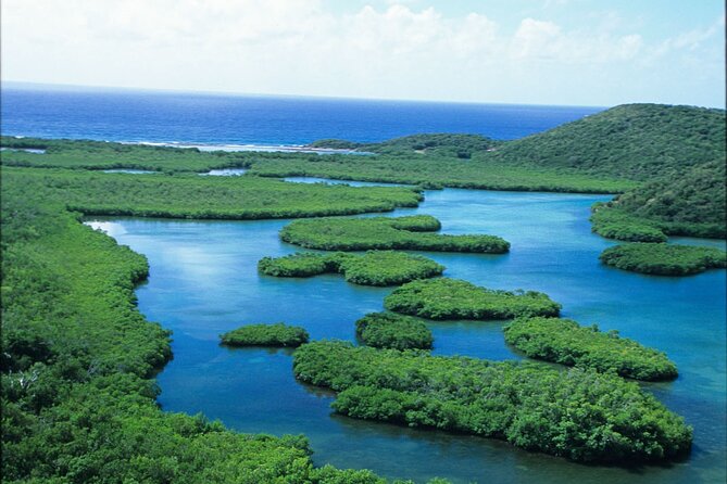 On Your Own: Kayak in the Mangrove Lagoon - Bird Island and the open-water portion