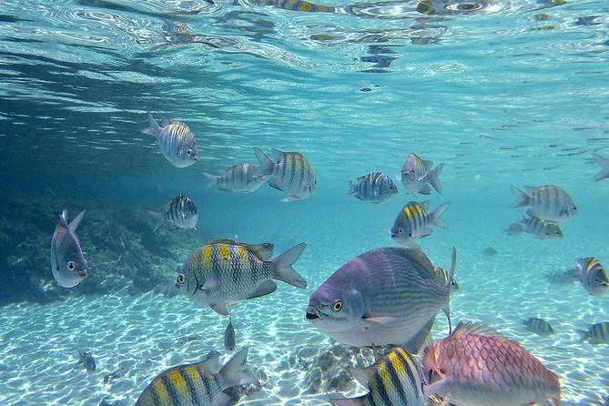 Paradise Taxi & Tours USVI-St Thomas- Airport Transfer Sapphire / Crystal Cove - Why a private St. Thomas transfer helps