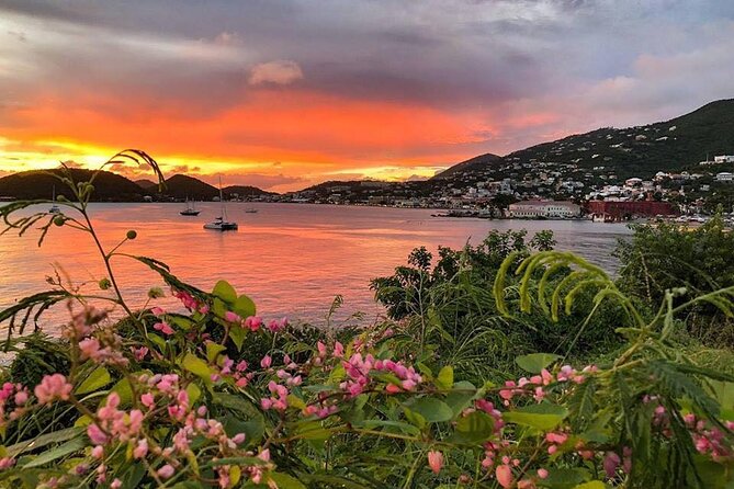 Paradise Taxi & Tours USVI -St. Thomas, Virgin Islands-Private Group-Island Tour - What You Get for Six Hours Around St. Thomas