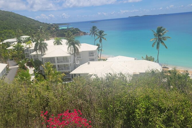 PARADISE TAXI & TOURS USVI-Transport Frenchmans Reef / Buoy Haus - Who will get the most from this transfer
