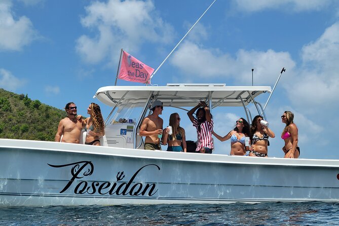 Private Fast Power Catamaran. Full or Half Day for Beach Hopping, Snorkel & Swim - Snorkeling, turtles, and the limits of wildlife
