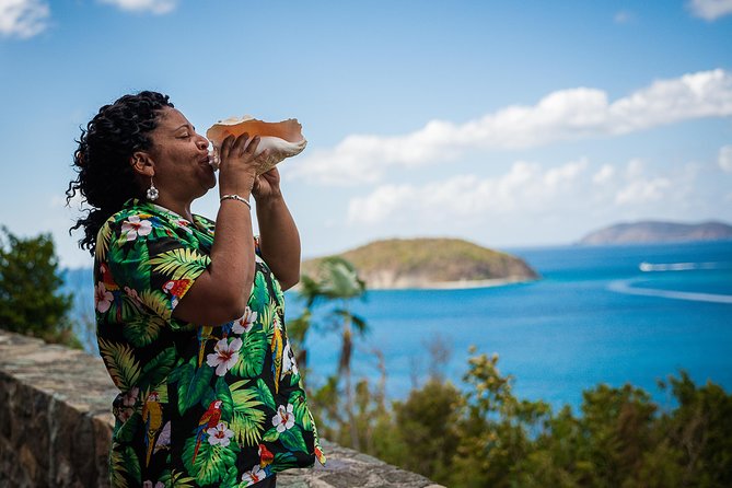 Private Four Hour Historic/Beach Tour with Star Fish Tours & Taxi - Cinnamon Bay offers a quick change of pace