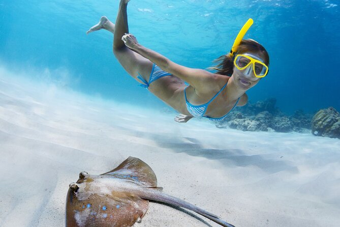 Private Full Day BVI Boat Charter Aboard MV Aquarius - Who gets the best value from this charter