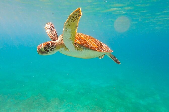 Private Full Day Sail in Virgin Islands National Park - Beaches, swimming, and quiet time between swims
