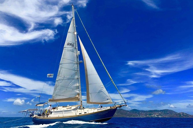 Private Full Day Sail/ Snorkel Experience USVI (Sapphire Marina, STT pick up) - Five details worth knowing before you book