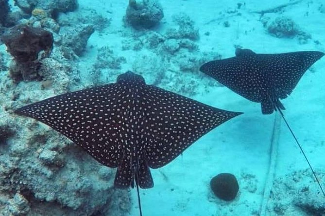 Private Full Day Sail/ Snorkel Experience USVI (Sapphire Marina, STT pick up) - Is $1,975 a fair price?