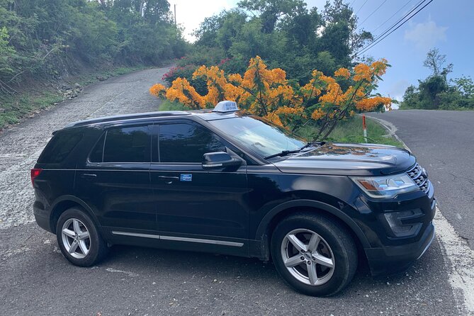 Private Ground Transfers - A private ride instead of a shared shuttle