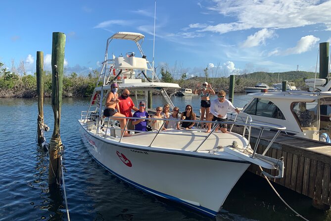 Private Half-Day Guided Snorkeling Charter in St. Thomas - What happens at Saga Haven Marina
