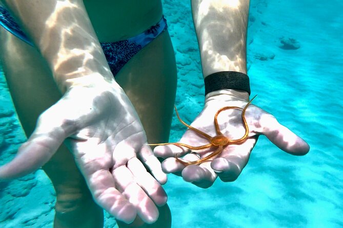 Private Luxury Catamaran Half Day Charter - Why a private catamaran makes sense in St. Thomas