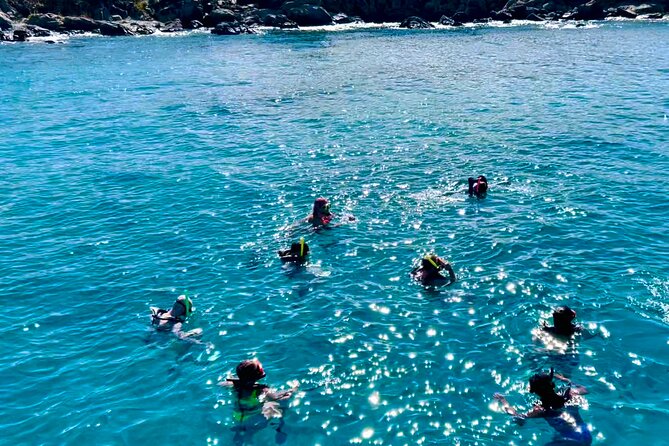 Private Luxury Catamaran Half Day Charter - Turtle Cove and Buck Island National Wildlife Refuge