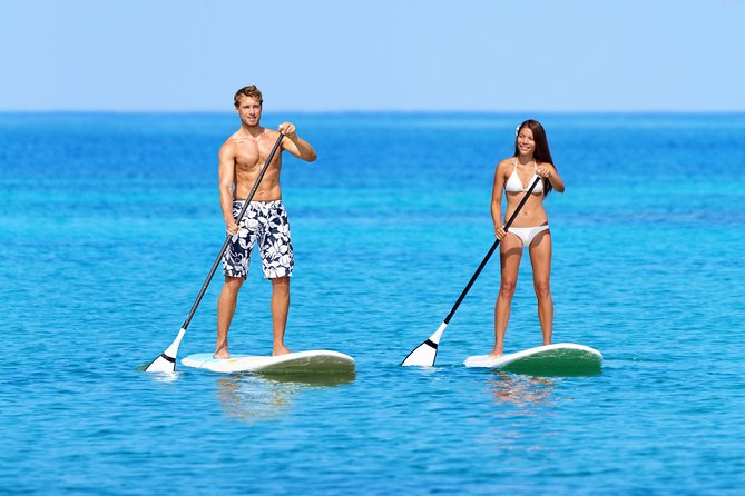 Private Luxury Catamaran Yacht. Full or Half Day Charter - Sail, Beach, Snorkel. - Lunch is the main extra expense