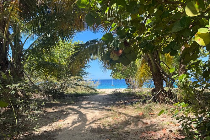 Private Open-Air Jeep Adventure with Tropic Sun –Hidden Beaches - Five things to know before booking