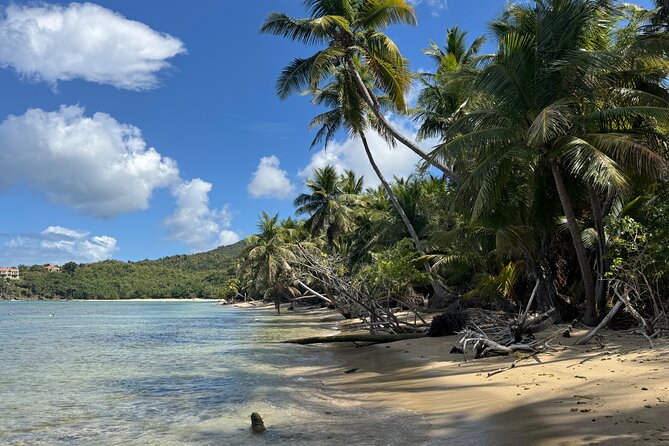 Private Open-Air Jeep Adventure with Tropic Sun –Hidden Beaches - Why this Jeep tour feels different