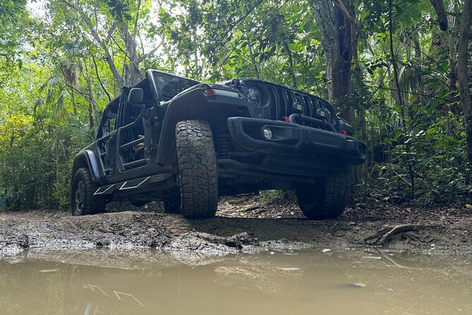 Private Open-Air Jeep Adventure with Tropic Sun –Hidden Beaches - Mountain Top delivers the big St. Thomas view