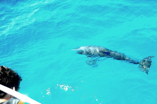 Private Sailing Tour of Pirate Waters and Shipwrecks - Key Things to Know Before You Sail