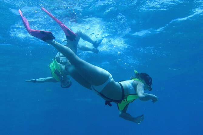 Reef and Turtle Adventure - Kayak and Snorkel Tour - Key points to know before booking