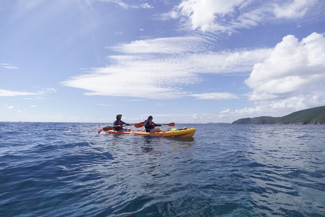 Reef and Turtle Adventure - Kayak and Snorkel Tour - Learning to handle the kayak