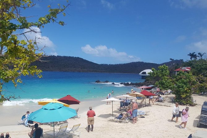 Round-Trip Transportation to Coral World Park and Coki Beach - The driver can shape the day