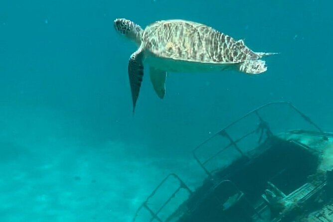 Sail and Snorkel Private Charter - Mid-Day Sail 1230pm to Sunset - Meeting at Sapphire Beach Marina at 12:30 p.m.