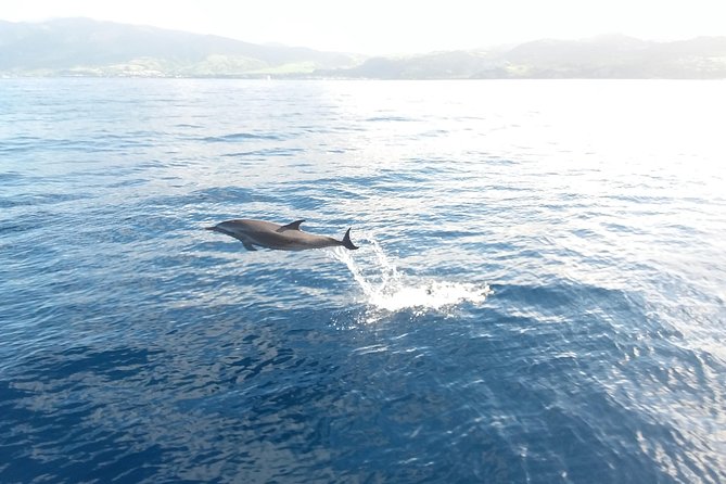 Sail/Snorkel Adventure from Sapphire Marina,STT NO CROWDS~ 6 GUEST MAX - Weather, Flexibility, and Cancellation Rules