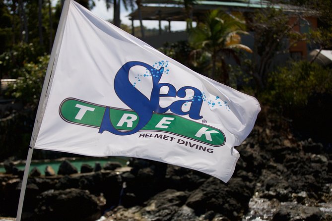 Sea Trek Helmet Dive at Coral World Ocean Park - What the Experience Feels Like Underwater