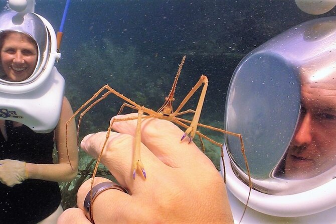 Sea Trek Helmet Dive at Coral World Ocean Park - Who Will Enjoy This Most?