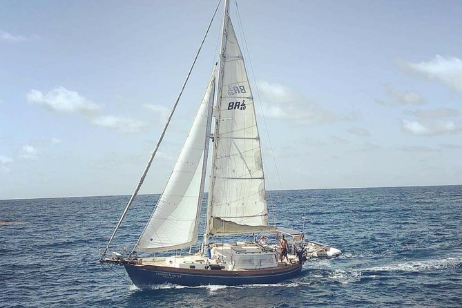 Simply Sailing Private Sail from Sapphire Marina - Key points to know before you book