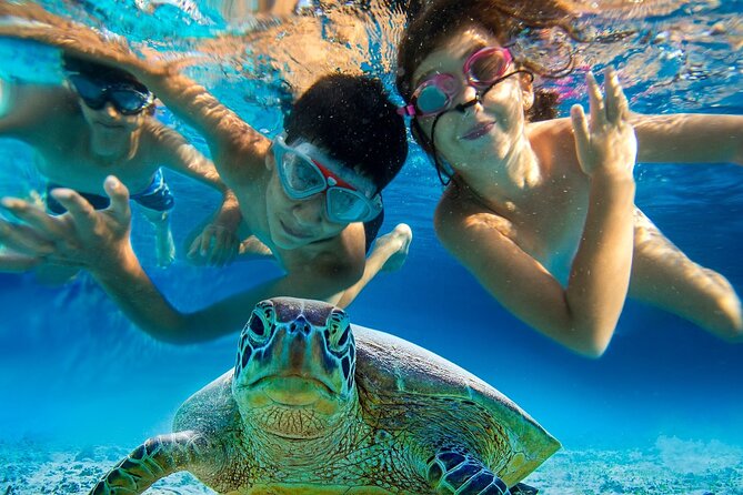 Snorkel and Sunset Cruise from Margaritaville Resort - From salt water to Chef Krygsveld’s hors d’oeuvres