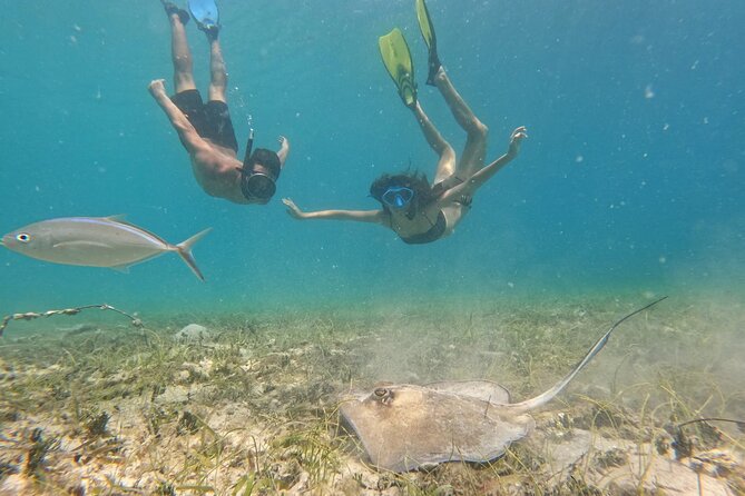 Snorkel St. John Tour from Sapphire and Margaritaville - Why this St. John boat trip works well