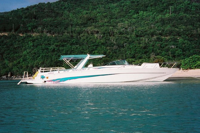 Snorkel St. John Tour from Sapphire and Margaritaville - Timing, meeting point, and booking cautions