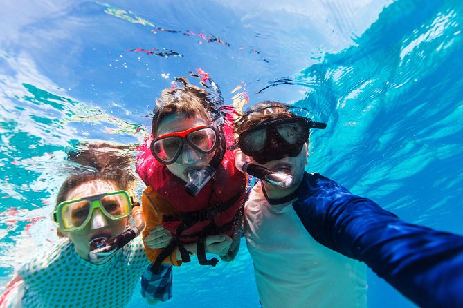 Snorkel & Swim with Turtles. Semi Private Tour to Buck Island & Honeymoon Beach - Morning or afternoon departure?