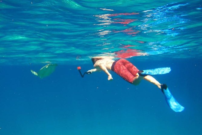 Snorkel Tour - Starting at Secret Harbour at 8:30 a.m.