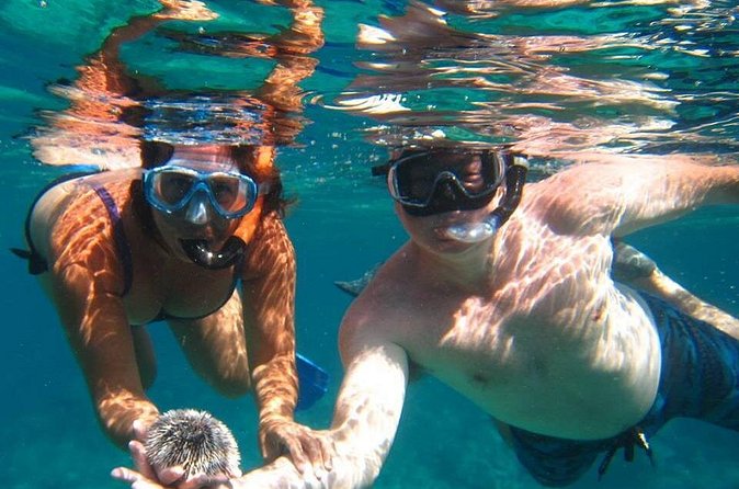 Snorkel Tour - A 32-foot Island Hopper for a half-day at sea