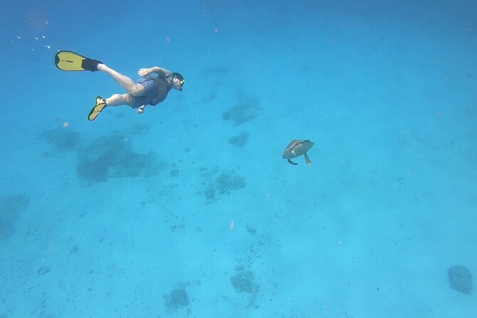 Snorkeling Gear Rental - Delivery to your accommodation or beach