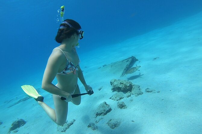 Snorkeling Gear Rental - What the service experience may be like