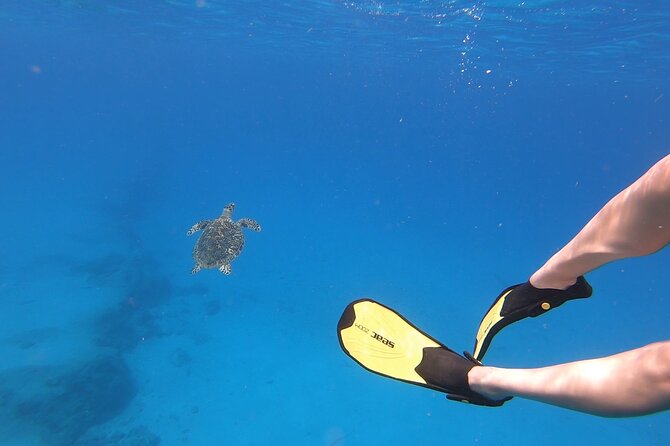 Snorkeling Gear Rental - What arrives in the three-piece kit