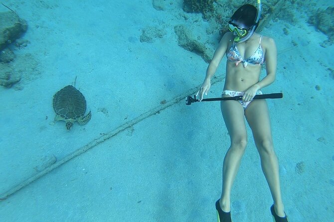 Snorkeling with Sea Turtles - Key points to know before booking