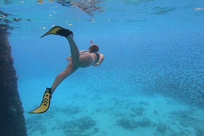 Snorkeling with Sea Turtles - What the $65 experience actually includes