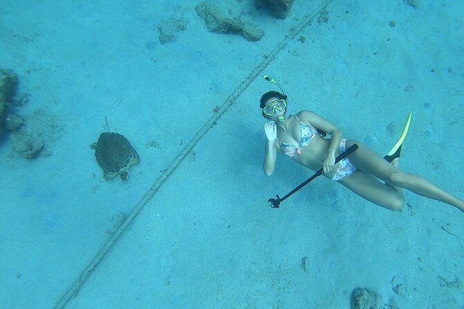 Snorkeling with Sea Turtles - After the snorkel: kayaks, paddleboards, and floats