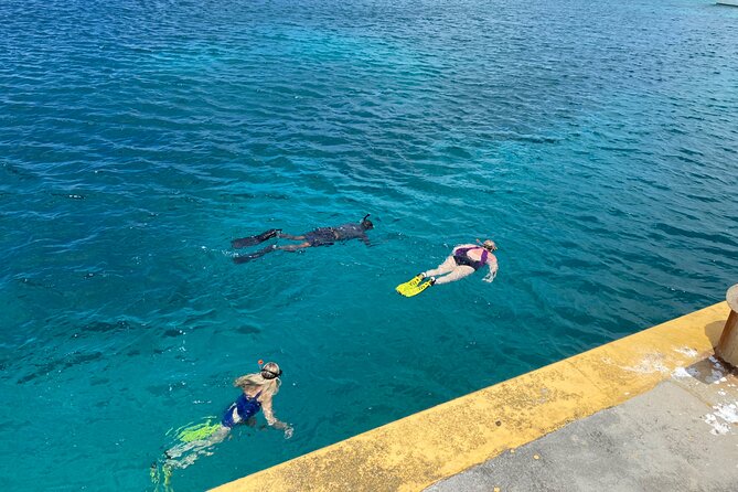 Snorkeling with Sea Turtles - How the guides shape the experience