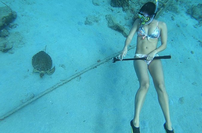 Snorkeling with Sea Turtles - Who should book this St. Croix snorkel
