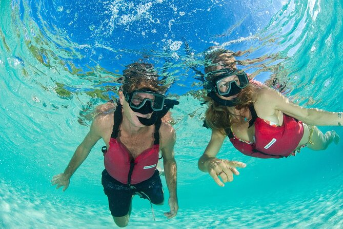 Snorkeling with Sea Turtles at St. Thomas - The guide can shape the whole experience