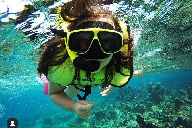 Snorkeling with Sea Turtles - Meeting at Frederiksted Pier