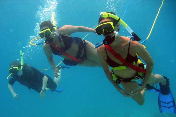 Snuba Adventure at Coral World Ocean Park - Along the Coki Point Reef for 30 Minutes