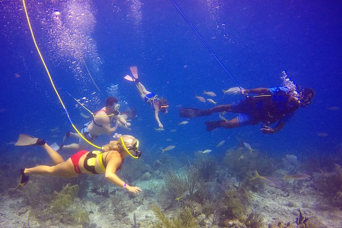 Snuba Adventure at Coral World Ocean Park - Why the Small Group Makes a Difference