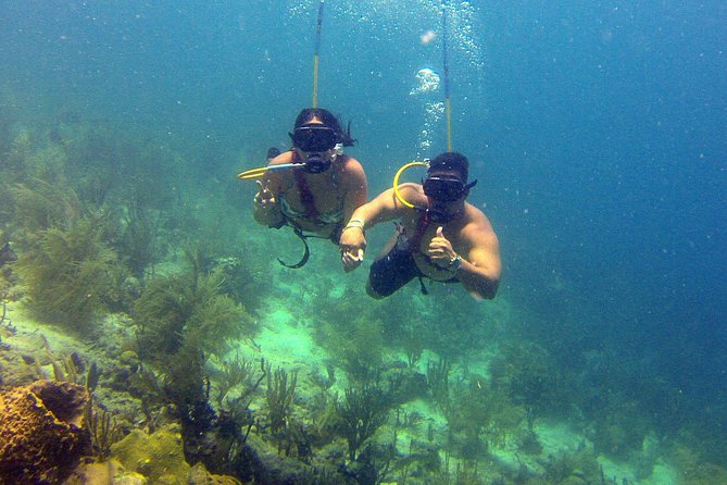 Snuba Adventure at Coral World Ocean Park - Coral World Park Adds Value to the Price