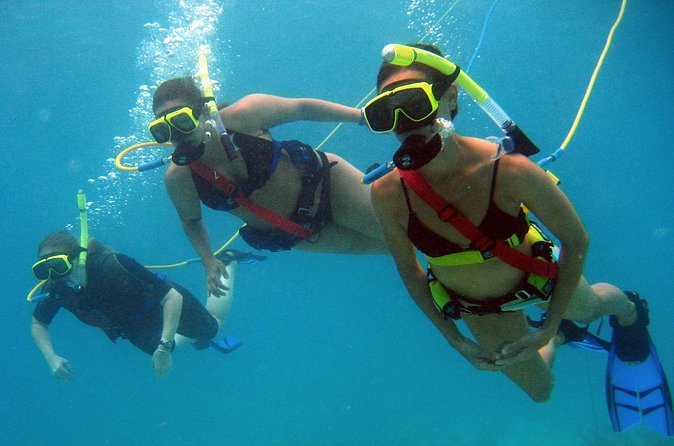 Snuba Adventure at Coral World Ocean Park - Sea Conditions Are the Main Wild Card