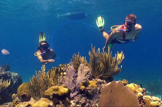 Snuba Adventure at Coral World Ocean Park - Meeting Your Instructor at Coral World Ocean Park