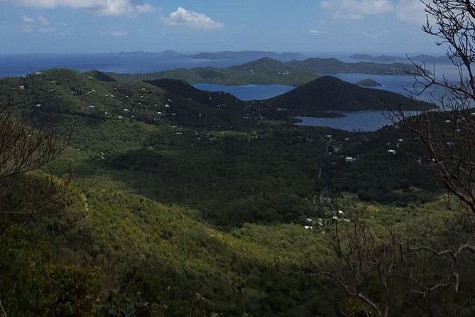 St John Island Sightseeing Tour - What the vehicle and guide experience are like