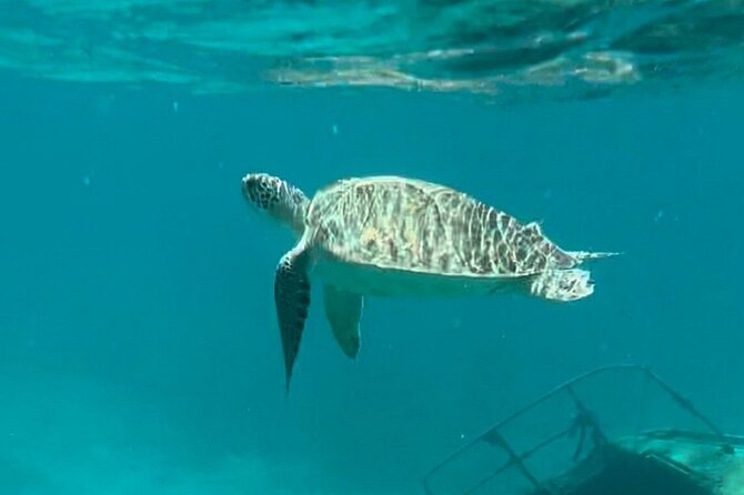 St John -Jeep Ride with A Guide! Customize Itinerary Your Way! - Maho Bay, snorkeling, and the chance to see turtles